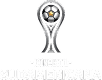 CONMEBOL Sudamericana